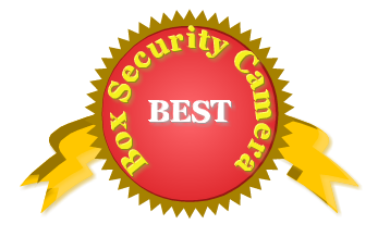 Box security camera badge