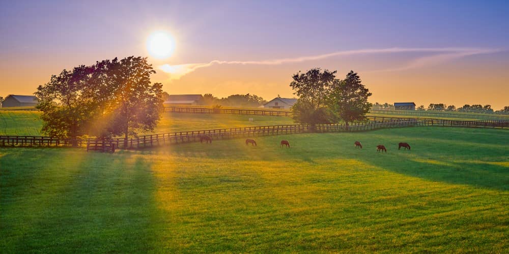 security cameras to use in a farm